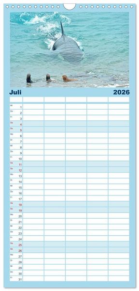 Produktbild: Familienplaner 2026 - Orcas: Schwarz-wei&szlig;e Giganten mit 5 Spalten (Wandkalender, 21 x 45 cm) CALVENDO