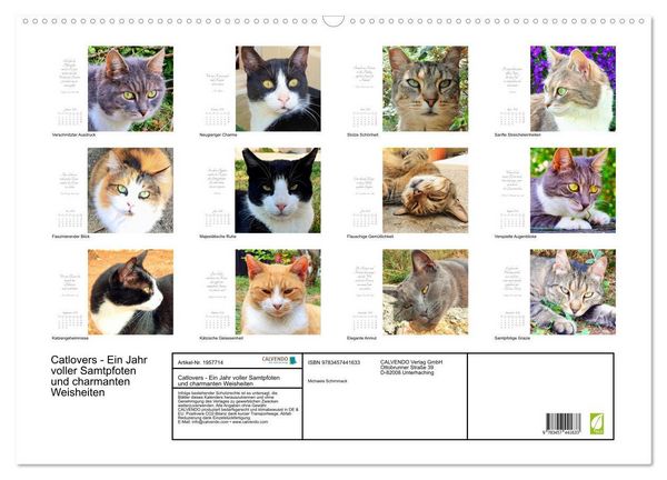 Produktbild: Catlovers - Ein Jahr voller Samtpfoten und charmanten Weisheiten (Wandkalender 2026 DIN A2 quer), CALVENDO Monatskalender