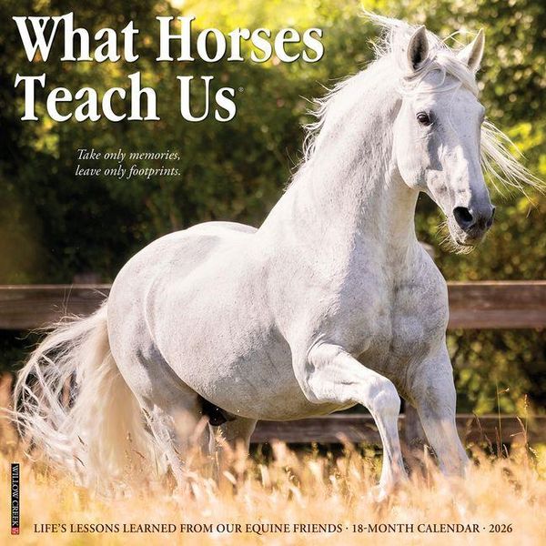 Produktbild: What Horses Teach Us 2026 Wall Calendar