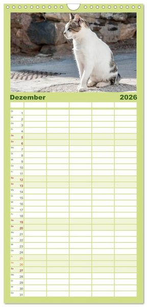 Produktbild: Familienplaner 2026 - Griechische Katzen mit 5 Spalten (Wandkalender, 21 x 45 cm) CALVENDO