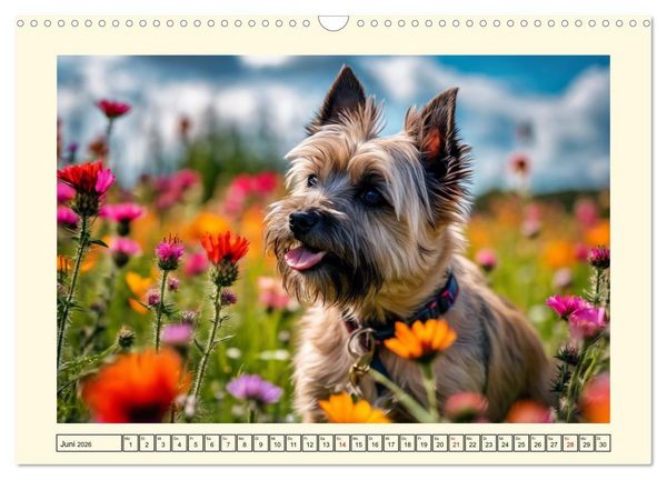 Produktbild: Winzlinge der Hundewelt (Wandkalender 2026 DIN A3 quer), CALVENDO Monatskalender
