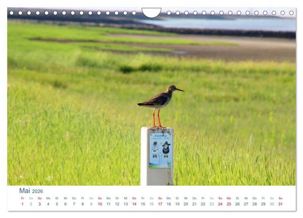 Produktbild: Butjadingen 2026. Impressionen zwischen Jade und Weser (Wandkalender 2026 DIN A4 quer), CALVENDO Monatskalender