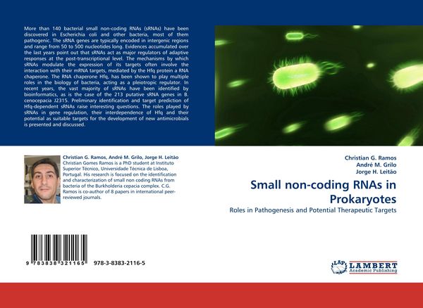 Produktbild: Small non-coding RNAs in Prokaryotes
