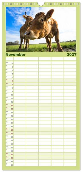 Produktbild: Familienplaner 2027 - Kuhckst du? mit 5 Spalten (Wandkalender, 21 x 45 cm) CALVENDO