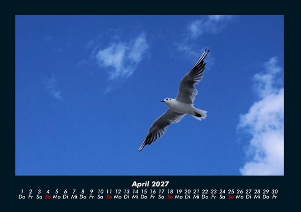 Produktbild: Welt der V&ouml;gel 2027 Fotokalender DIN A4
