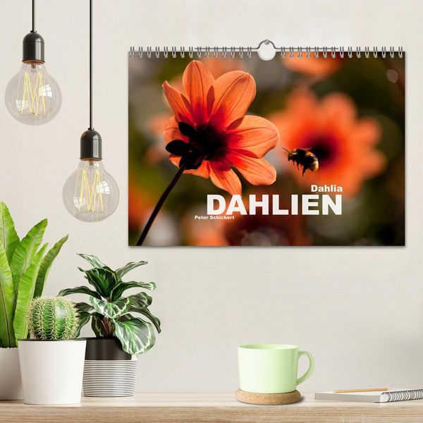 Produktbild: Dahlia - Dahlien (Wandkalender 2026 DIN A4 quer), CALVENDO Monatskalender