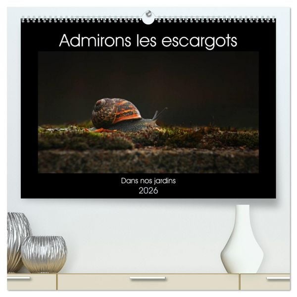 Produktbild: Admirons les escargots (Calendrier mural 2026 DIN A2 vertical) calendrier de bureau