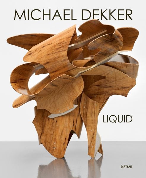 Liquid, Gebundene Ausgabe von Michael Dekker, Distanz Verlag, 978-3-95476-820-2