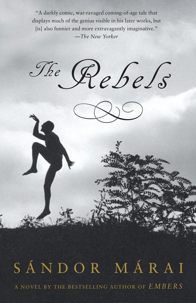 Produktbild: The Rebels