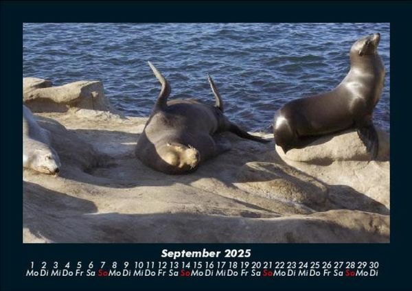 Produktbild: Die Seen der Erde 2025 Fotokalender DIN A5
