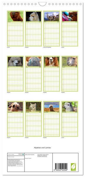Produktbild: Familienplaner 2026 - Alpakas und Lamas mit 5 Spalten (Wandkalender, 21 x 45 cm) CALVENDO