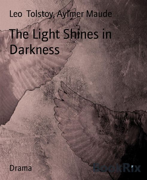 Produktbild: The Light Shines in Darkness