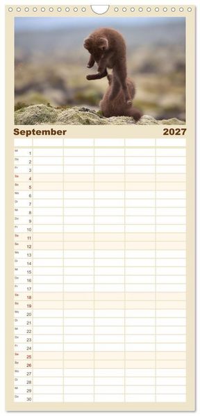 Produktbild: Familienplaner 2027 - Polarfuchs-Welpen mit 5 Spalten (Wandkalender, 21 x 45 cm) CALVENDO