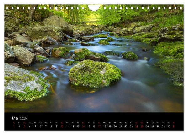 Produktbild: HOHES VENN - Einblicke in ein Hochmoor (Wandkalender 2026 DIN A4 quer), CALVENDO Monatskalender