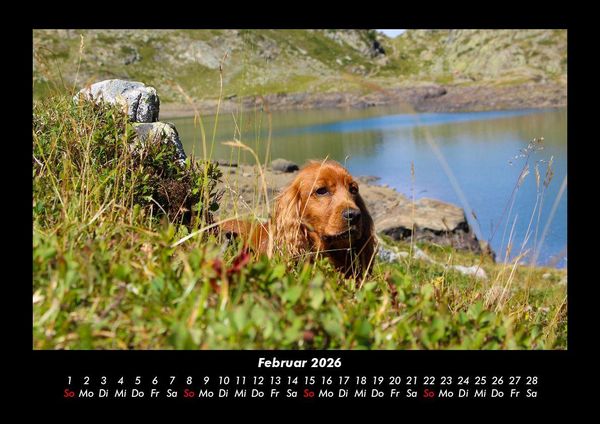 Produktbild: Landschaftskalender 2026 Fotokalender DIN A3