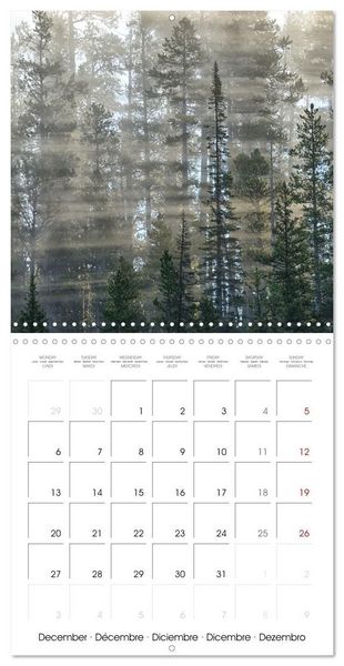 Produktbild: Yellowstone National Park (Wall Calendar 2027 12 &times; 12 Inch) CALVENDO 12 Month Wall Calendar