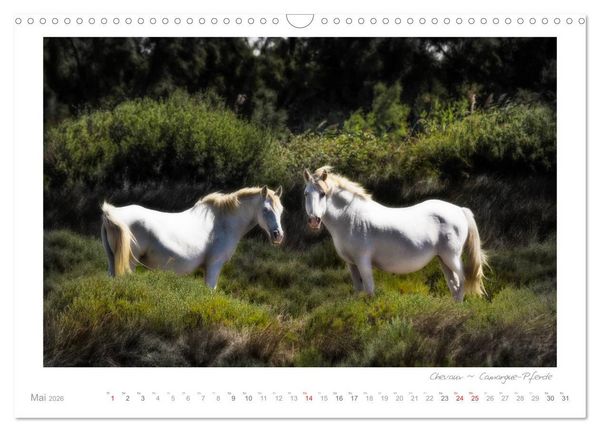 Produktbild: Sehnsucht Provence - Land des Lichts (Wandkalender 2026 DIN A3 quer), CALVENDO Monatskalender