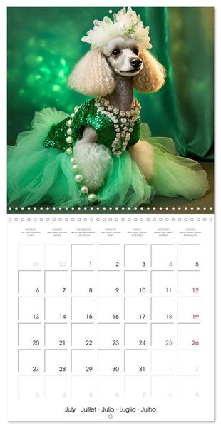 Produktbild: Grand Divas of the Dog World (Wall Calendar 2026 12 &times; 12 Inch) CALVENDO 12 Month Wall Calendar