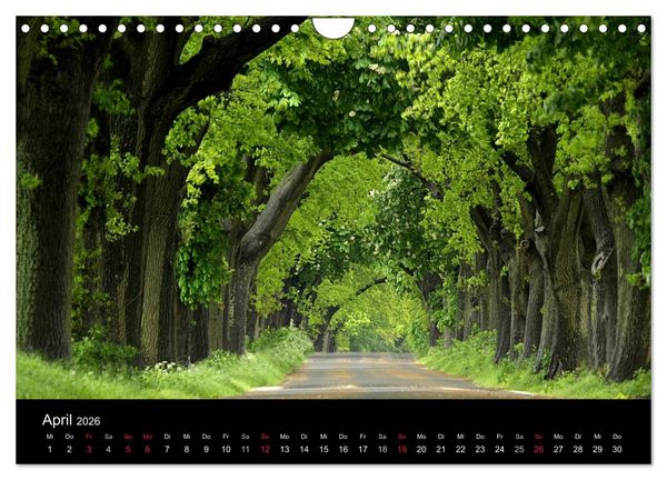 Produktbild: Traumhafte Ostseek&uuml;ste (Wandkalender 2026 DIN A4 quer), CALVENDO Monatskalender