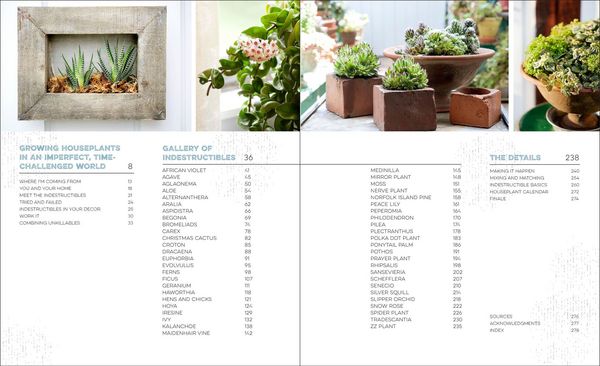 Produktbild: The Unexpected Houseplant