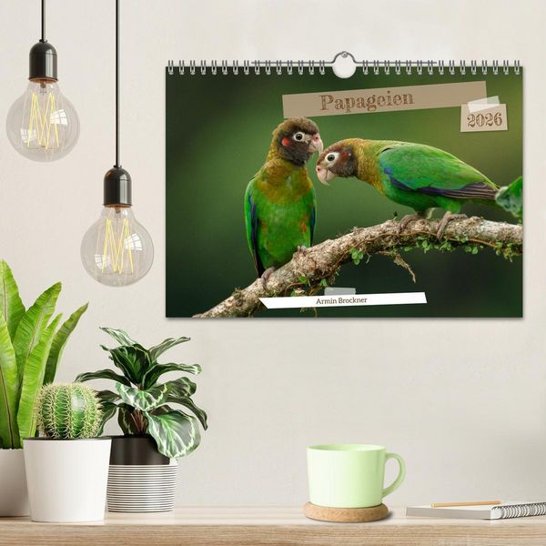 Produktbild: Papageien (Wandkalender 2026 DIN A4 quer), CALVENDO Monatskalender
