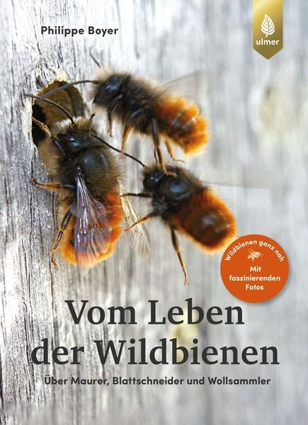 Produktbild: Vom Leben der Wildbienen