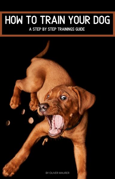Produktbild: How To Train Your Dog