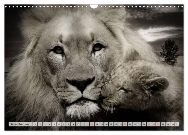 Produktbild: Wilde Tiere in schwarz-wei&szlig; (Wandkalender 2026 DIN A3 quer), CALVENDO Monatskalender