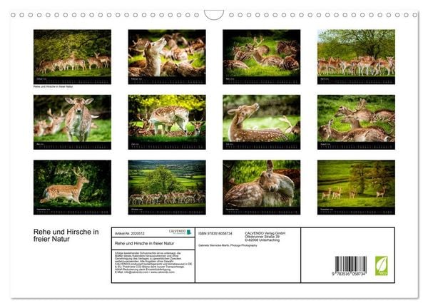 Produktbild: Rehe und Hirsche in freier Natur (Wandkalender 2026 DIN A3 quer), CALVENDO Monatskalender
