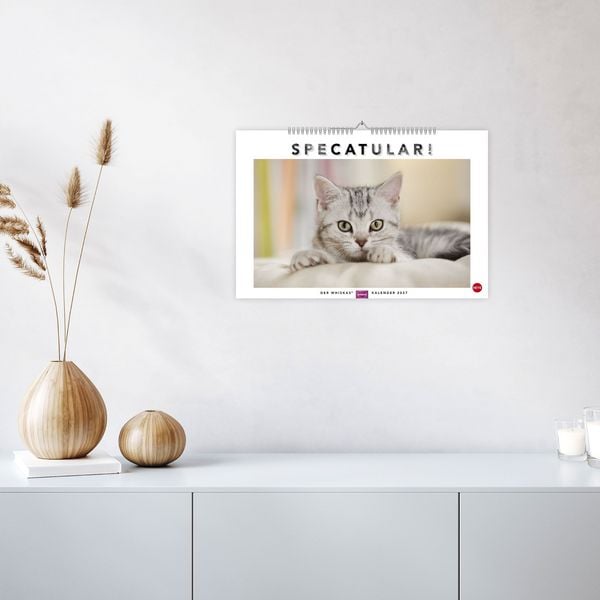 Produktbild: Whiskas Katzenkalender 2027