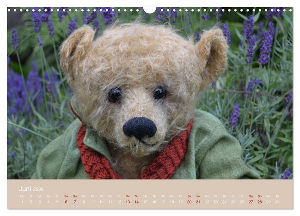 Produktbild: Robin der B&auml;r (Wandkalender 2026 DIN A3 quer), CALVENDO Monatskalender