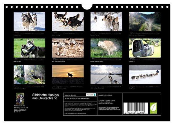 Produktbild: Sibirische Huskys aus Deutschland (Wandkalender 2026 DIN A4 quer), CALVENDO Monatskalender