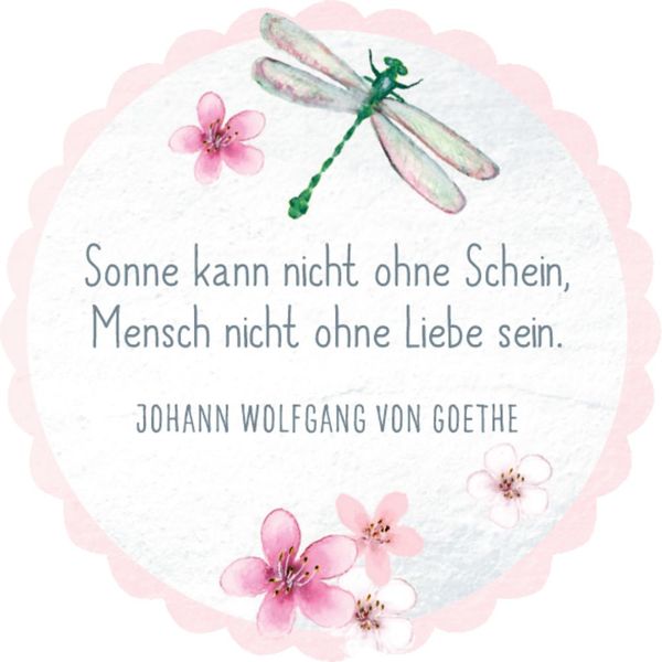 Sprüchedose Nimm eins! Schöne Gedanken für jeden Tag online bestellen
