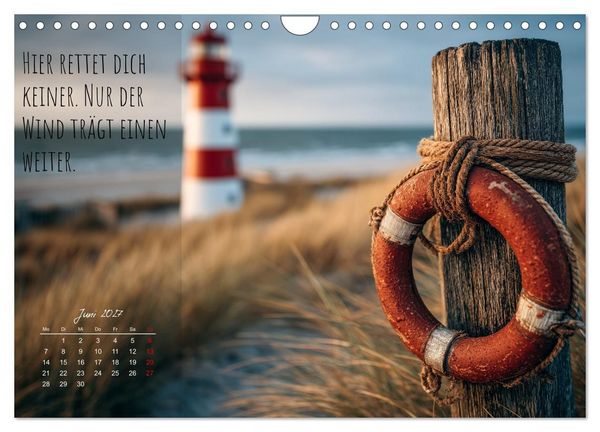 Produktbild: Moin Moin ist schon gesabbel - Norddeutscher Spr&uuml;che-Kalender (Wandkalender 2027 DIN A4 quer), CALVENDO Monatskalender