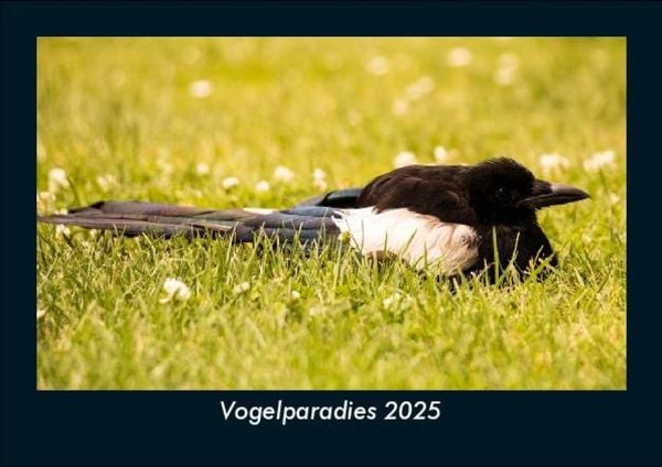 Produktbild: Vogelparadies 2025 Fotokalender DIN A5