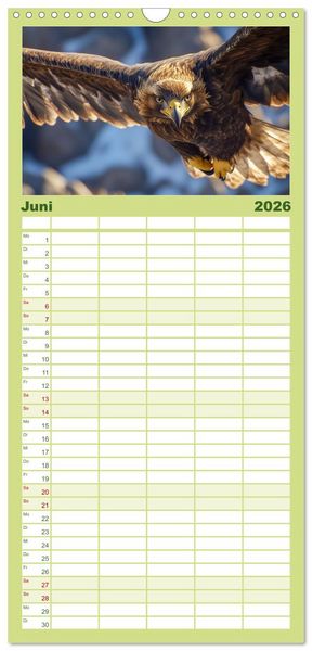 Produktbild: Familienplaner 2026 - Wilde Tierwelt im Wald mit 5 Spalten (Wandkalender, 21 x 45 cm) CALVENDO