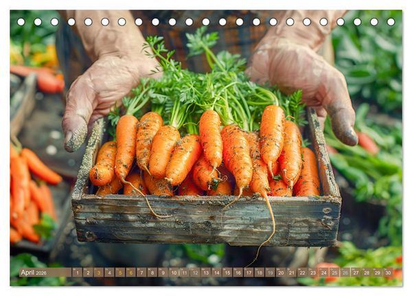 Produktbild: Mein Gem&uuml;segarten - Ein Jahr knackig frisches Gem&uuml;se (Tischkalender 2026 DIN A5 quer), CALVENDO Monatskalender
