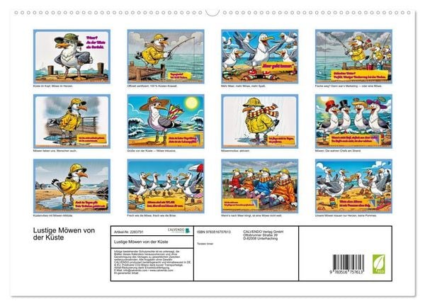 Produktbild: Lustige M&ouml;wen von der K&uuml;ste (hochwertiger Premium Wandkalender 2027 DIN A2 quer), Kunstdruck in Hochglanz