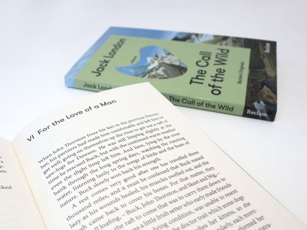 Produktbild: The Call of the Wild