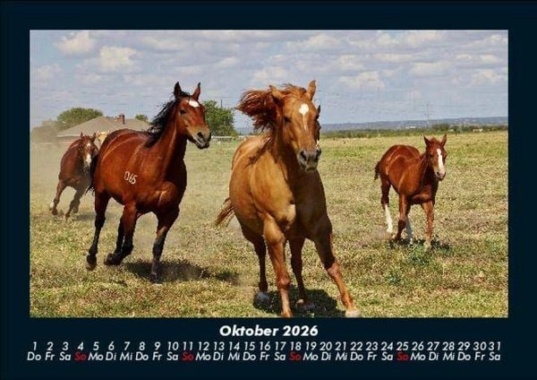 Produktbild: Die Welt der Pferde 2026 Fotokalender DIN A5