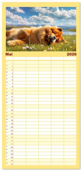 Produktbild: Familienplaner 2026 - Chow Chow Momente. Fellpoesie aus dem Reich der Mitte mit 5 Spalten (Wandkalender, 21 x 45 cm) CALVENDO