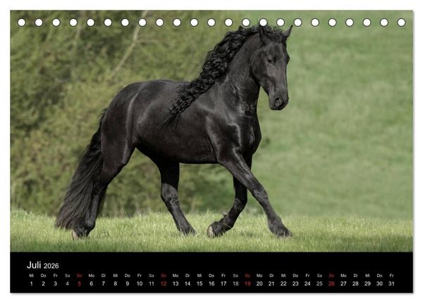 Produktbild: Friesen - Sch&ouml;nheit, Kraft und Eleganz (Tischkalender 2026 DIN A5 quer), CALVENDO Monatskalender