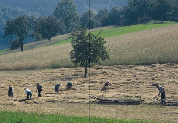 Produktbild: Echte Bauern retten die Welt!