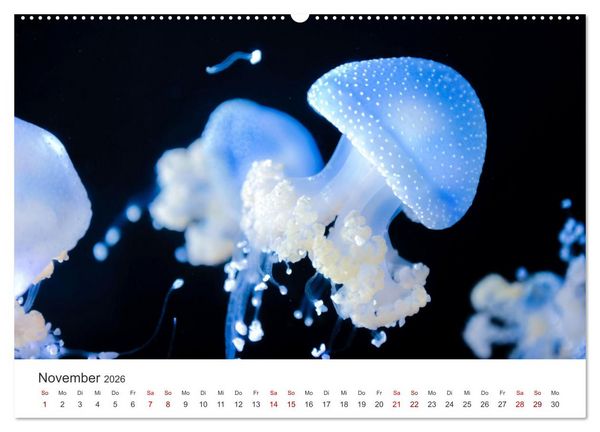 Produktbild: Tiefsee - Ein Abenteuer ins Unbekannte. (hochwertiger Premium Wandkalender 2026 DIN A2 quer), Kunstdruck in Hochglanz