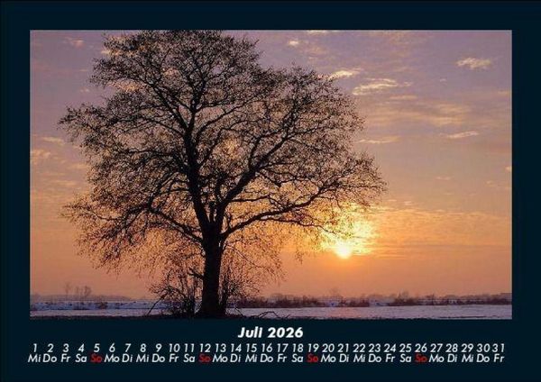 Produktbild: B&auml;ume 2026 Fotokalender DIN A5