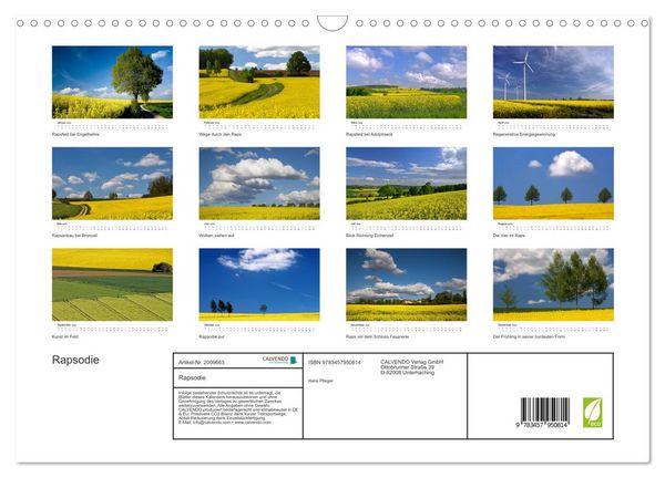 Produktbild: Rapsodie (Wandkalender 2026 DIN A3 quer), CALVENDO Monatskalender