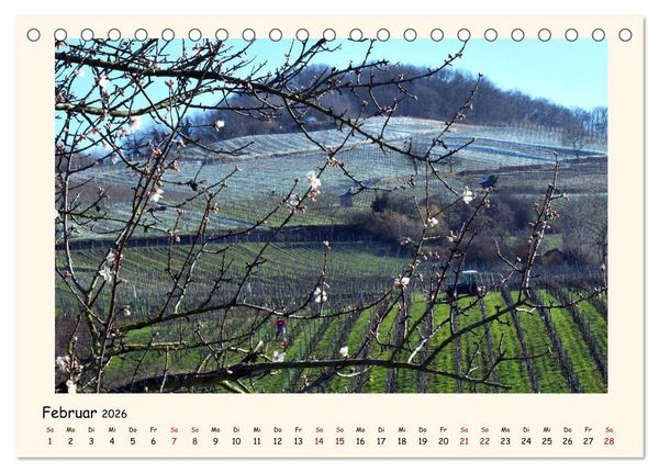 Produktbild: Weinlandschaft - Heppenheim an der Bergstra&szlig;e (Tischkalender 2026 DIN A5 quer), CALVENDO Monatskalender