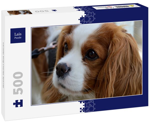 Lais Puzzle Cavalier King Charles Spaniel 500 Teile