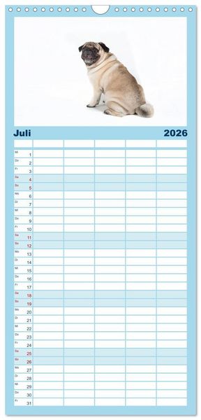 Produktbild: Familienplaner 2026 - Mops - unwiderstehlich und charmant mit 5 Spalten (Wandkalender, 21 x 45 cm) CALVENDO