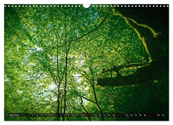 Produktbild: Slowenien - Soca Tal (Wandkalender 2026 DIN A3 quer), CALVENDO Monatskalender